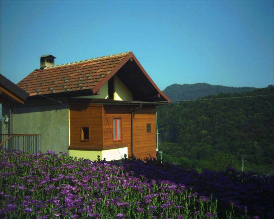 B&B Cip E Ciop Miazzina Exterior foto